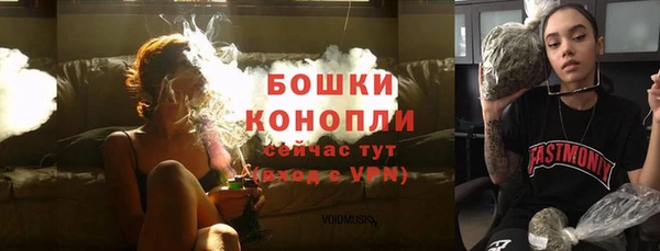 PSILOCYBIN Пролетарск
