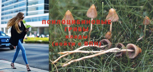 меф Рославль