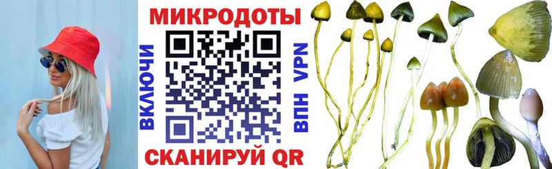 Купить где  Кущёвская  Псилоцибиновые грибы Magic Shrooms 
